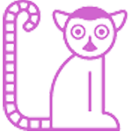 Lemur (Individual)