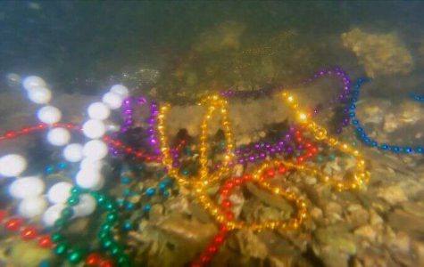 Gasparilla beads underwater