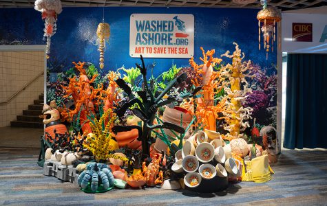 Washed Ashore Exhibit
