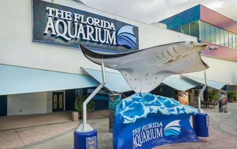 Aquarium Exterior