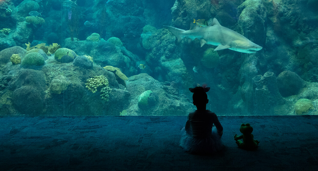 Little Girl Sits With Stuffed Animal At Large Tank