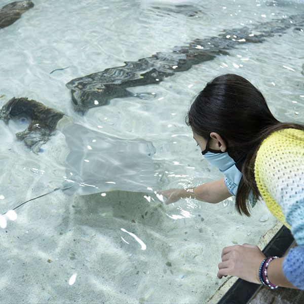 Stingray Beach