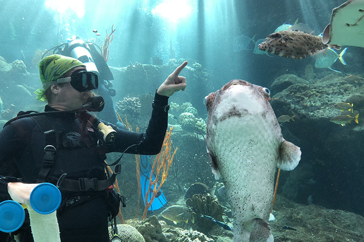 TFA Diver Cleaning Fish