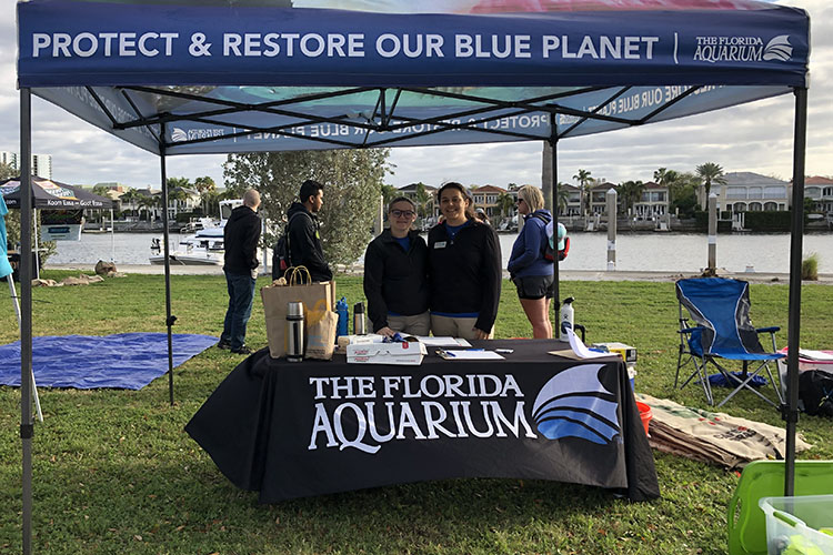 Gasparilla Dive Clean Up