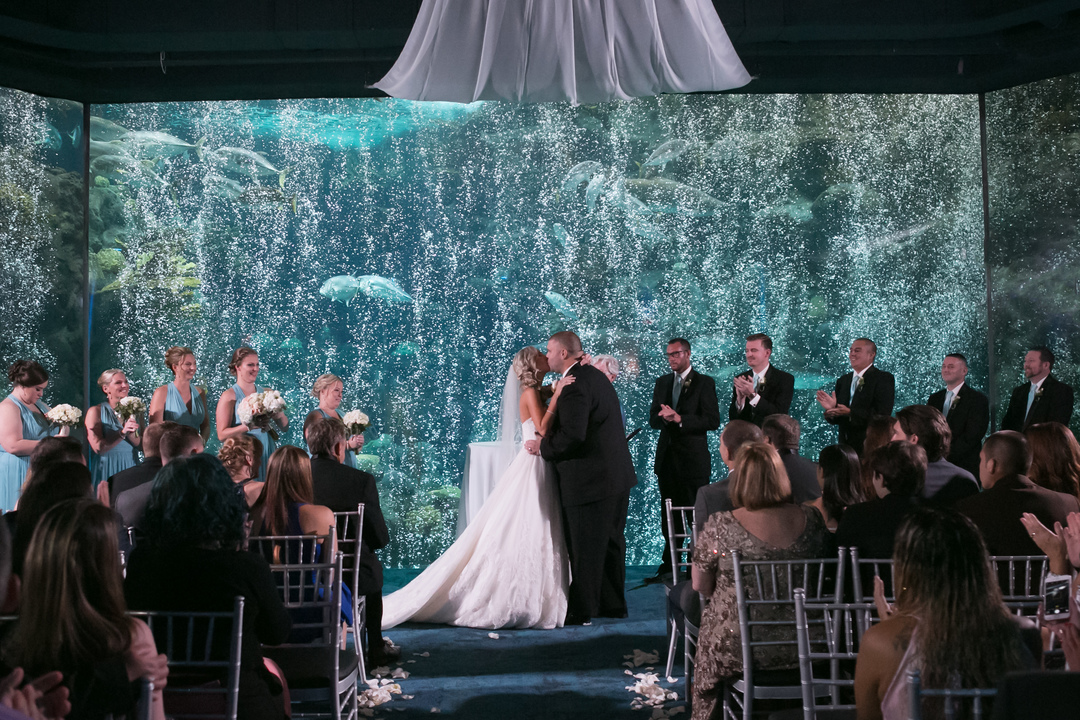 coral_reef_wedding_bubble_curtain_first_kiss