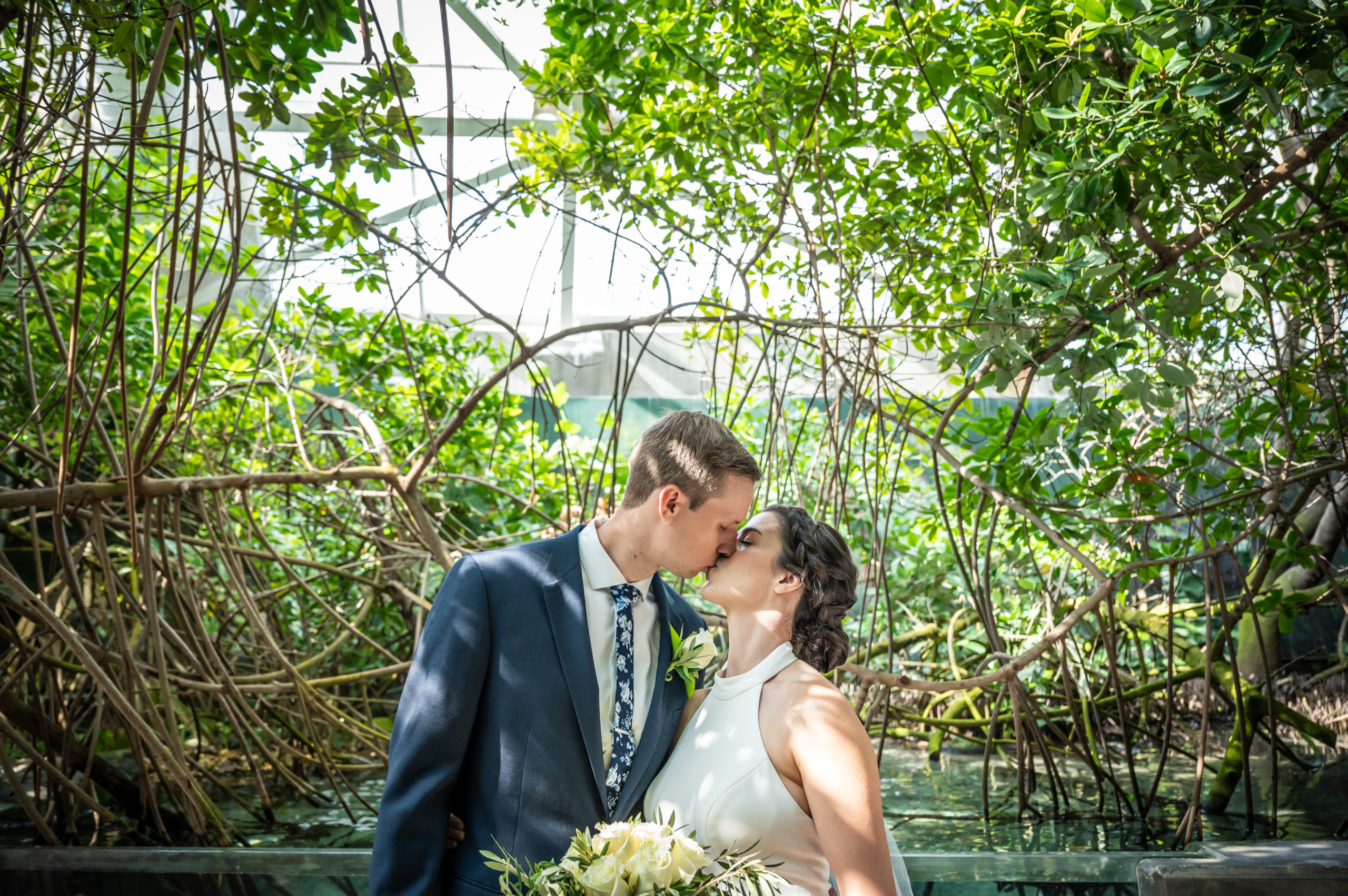 Bride_and_groom_mangroves_wetlands