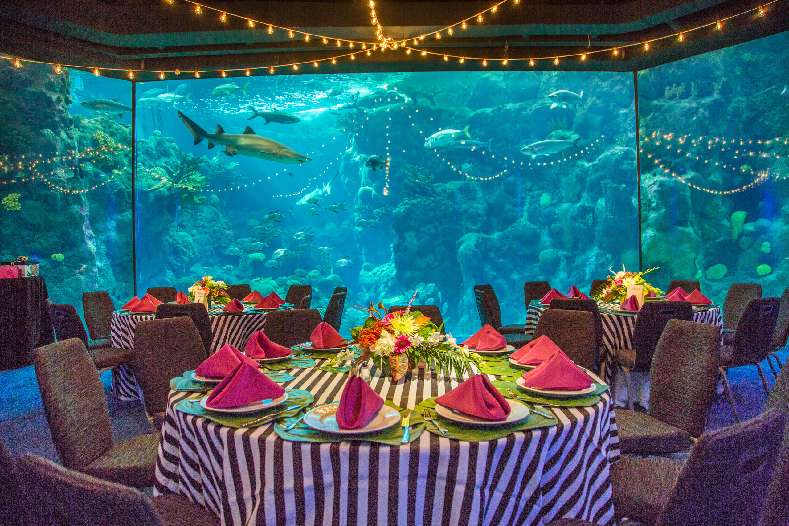 Coral Reef Room Dinner