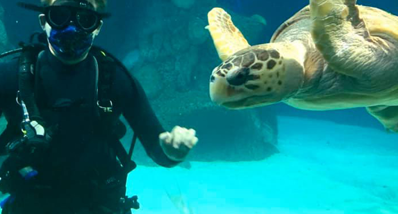 Marine Operations Internship - Diver AnD Green Sea Turtle