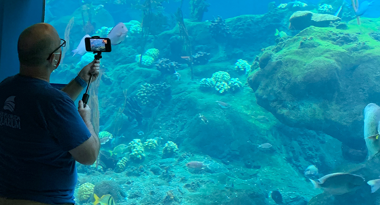 Employee_Filming_Fish_In_Habitat_On_Mobile_Device