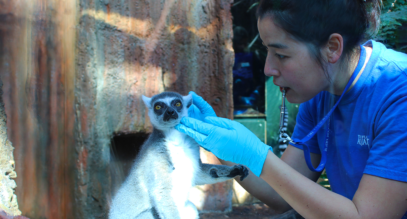 Animal Care Internships The Florida Aquarium