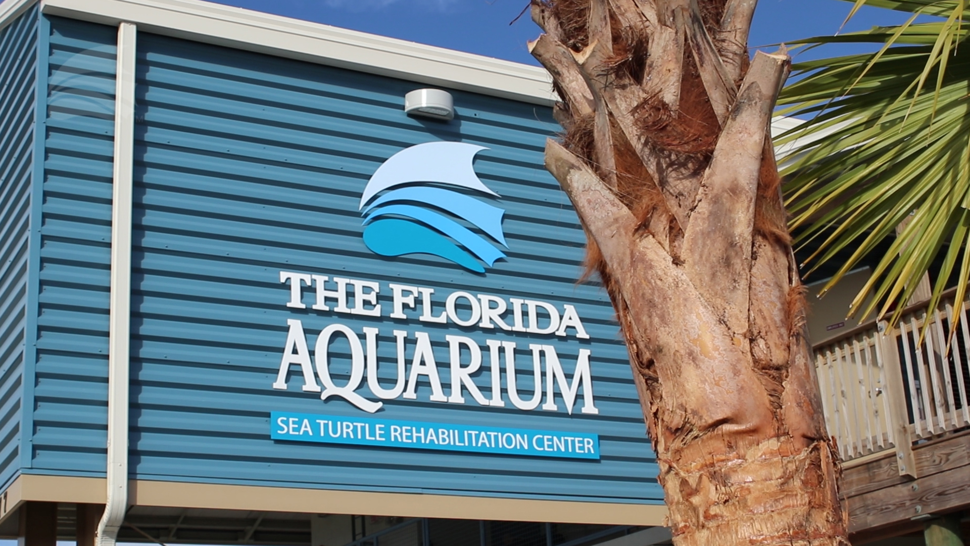 Sea_Turtle_Rehabilitation_Center