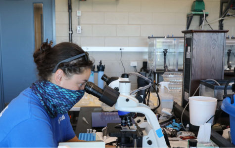 biologist looking through microscope