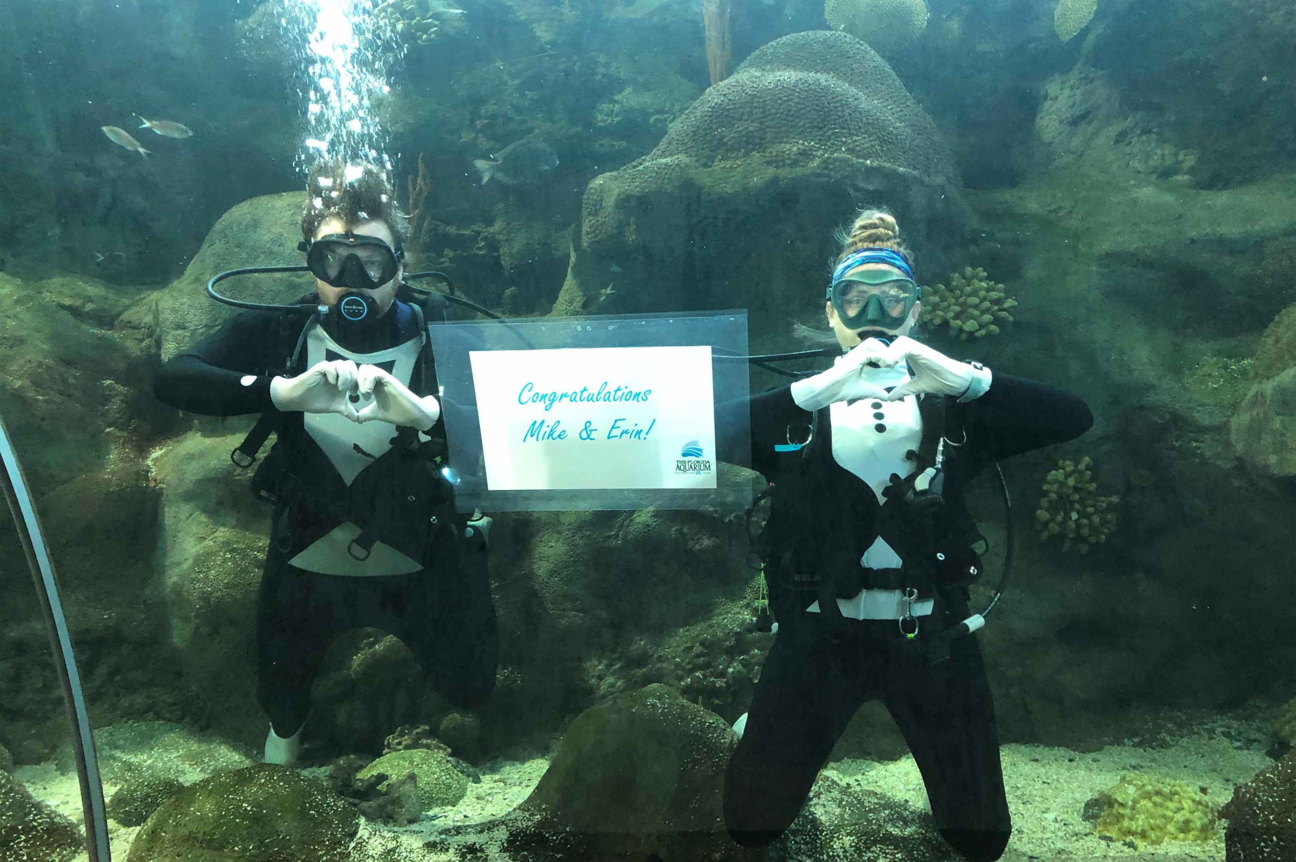 divers_wearing_tuxedos_in_water