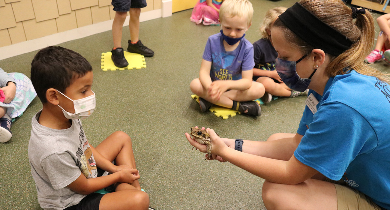 kids_looking_at_frog