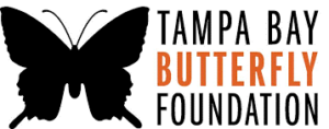 tampa_butterlfy_foundation_logo