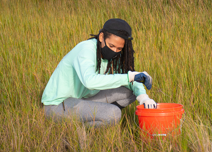 woman cleaning up mangrove forest