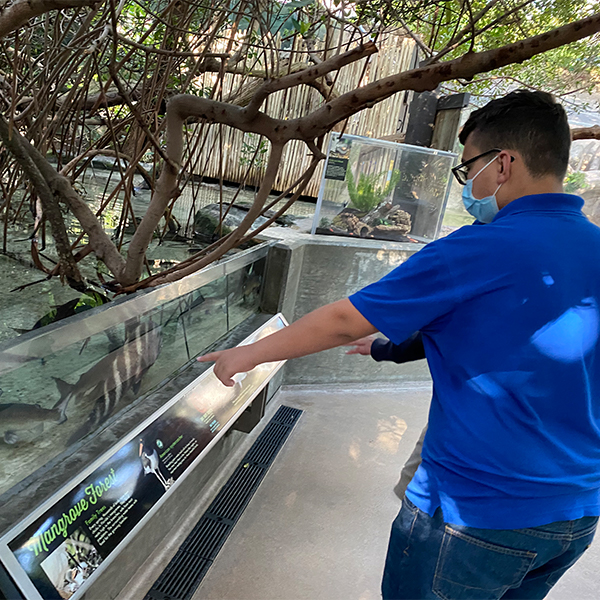 boy pointing at fish