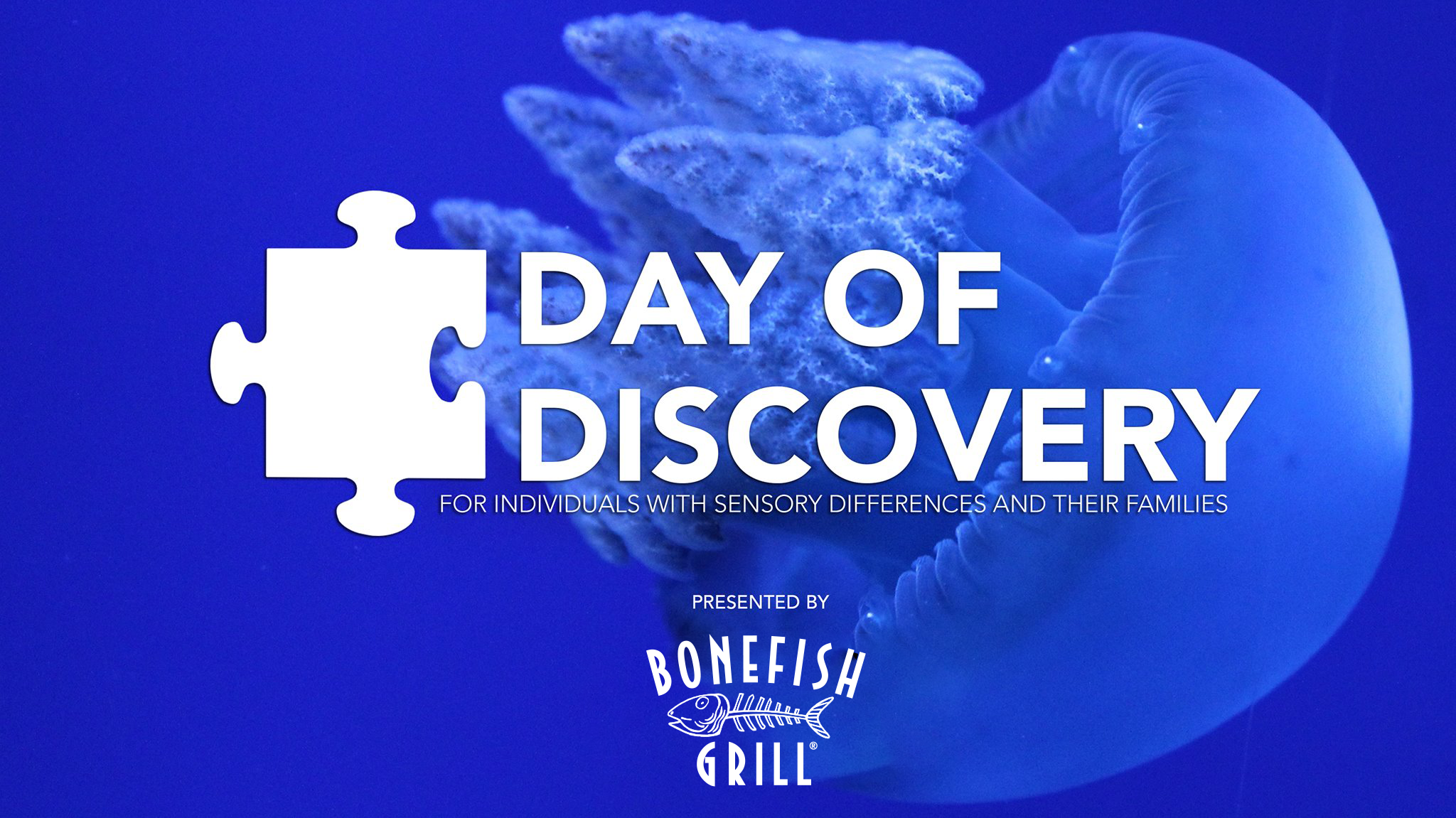 Day of Discovery