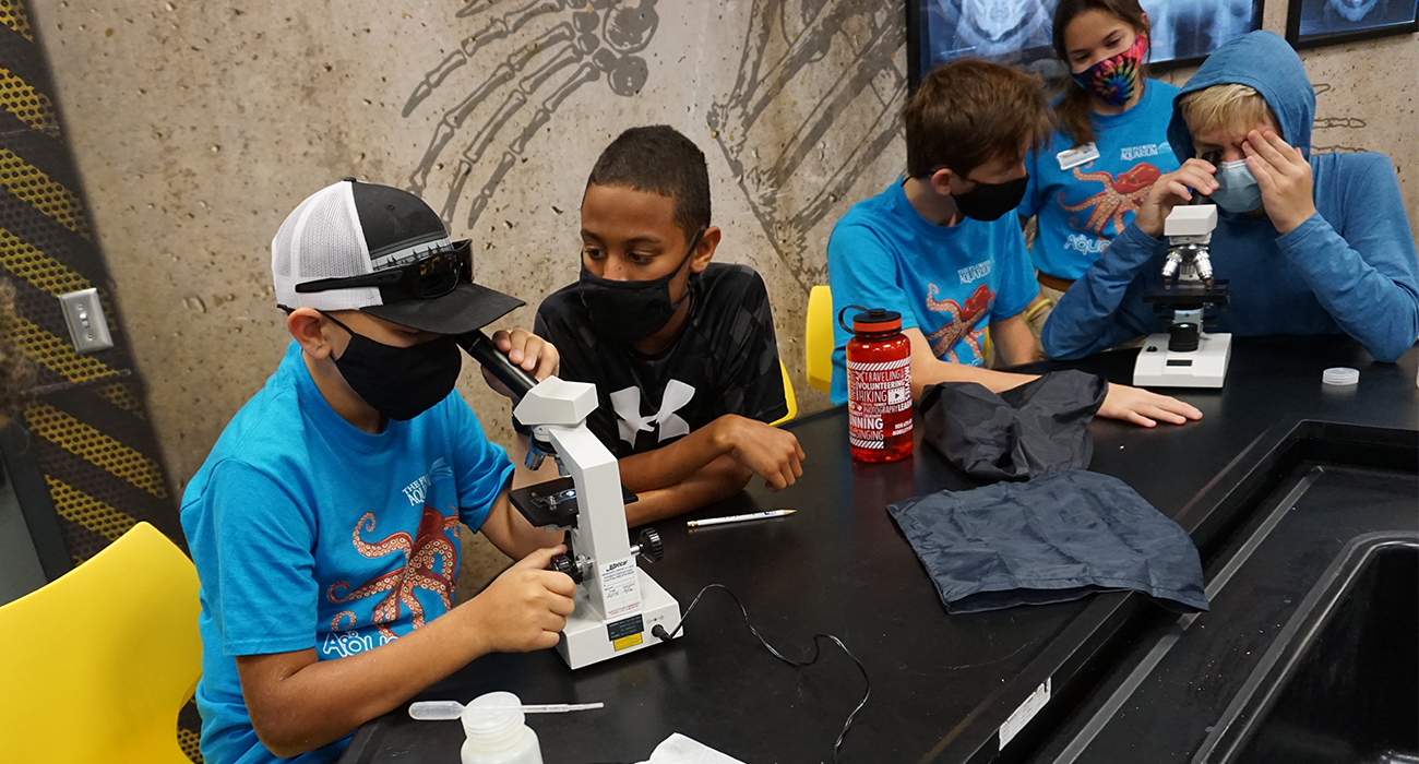 kids in lab looking in microscopes