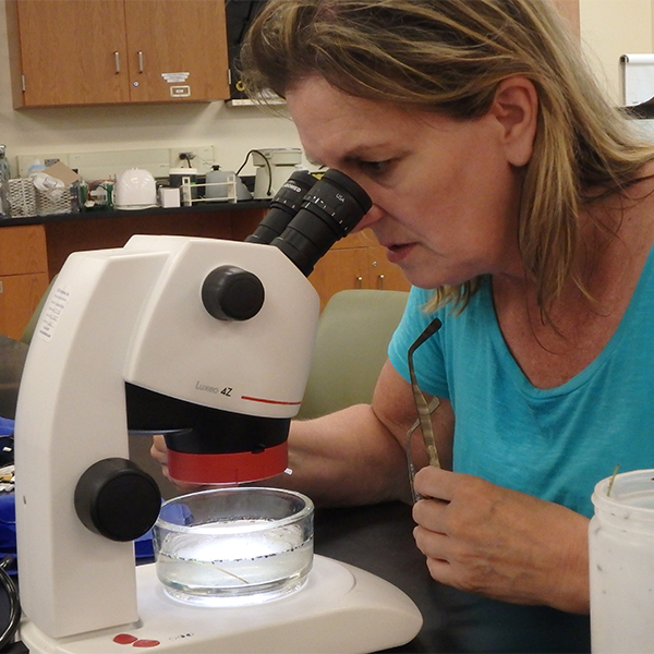 teacher looking through microscope