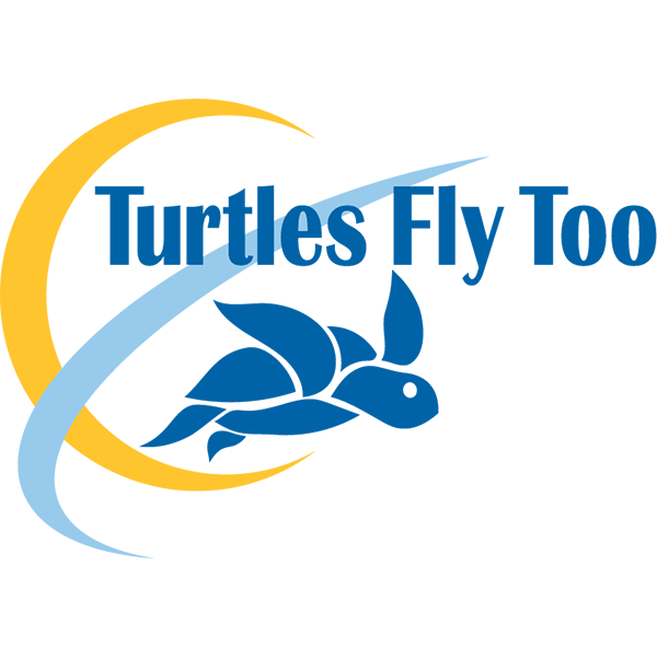 turtles_fly_too