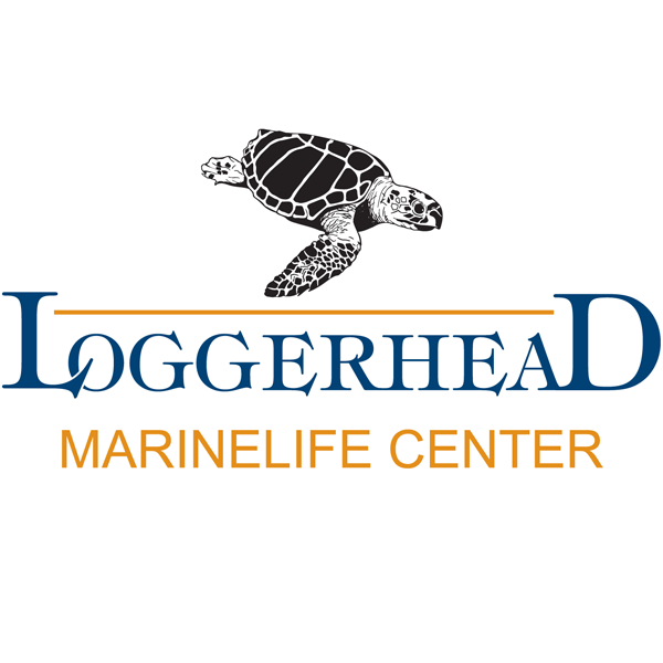 Loggerhead Marinelife Center Logo