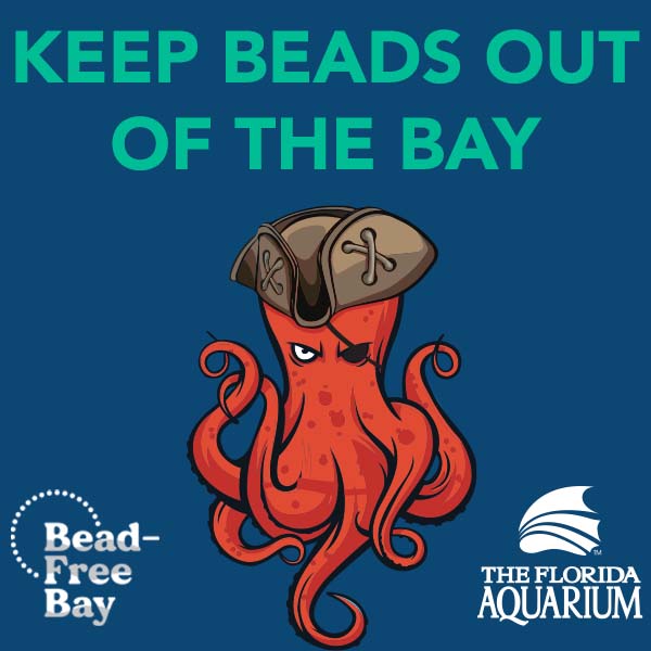 Bead Free Bay Initative