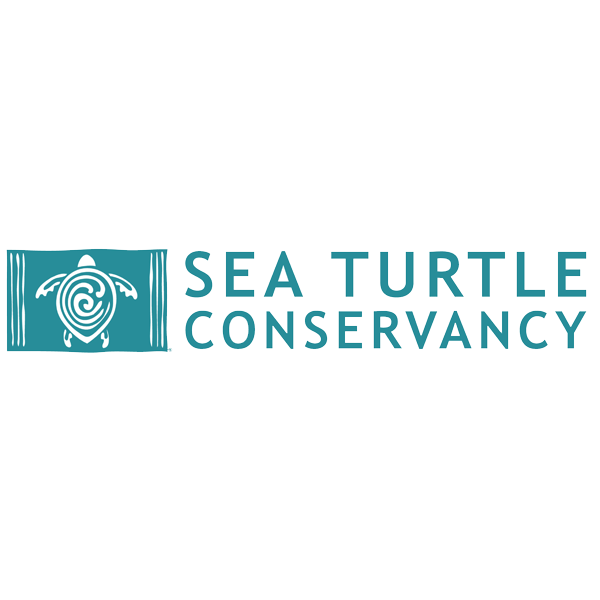 sea_turtle_conservancy_logo_square