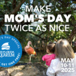 Mom and daughter looking at bird for Mothers day at the florida aquarium