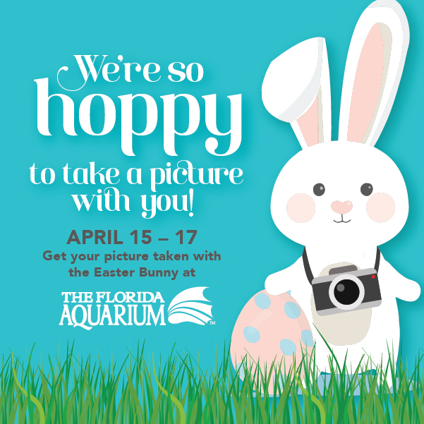 easter_bunny_photos