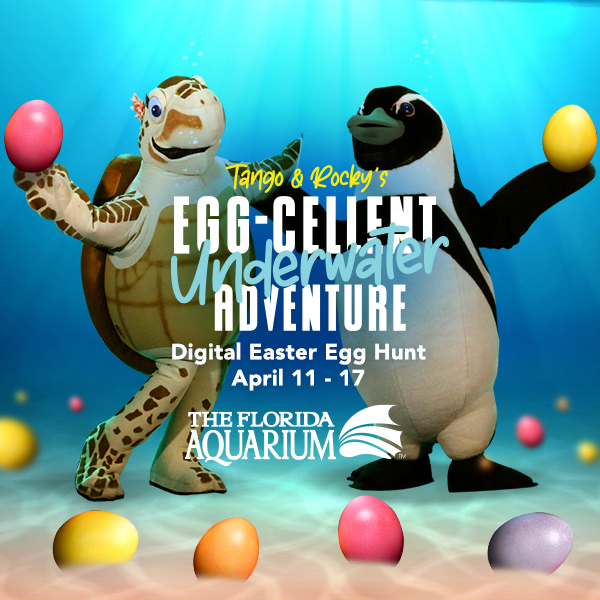 rocky_and_tangos_eggcellent_underwater_adventure_digital_scavenger_hunt