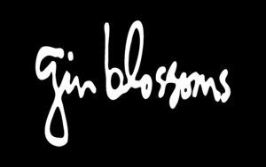 gin blossoms