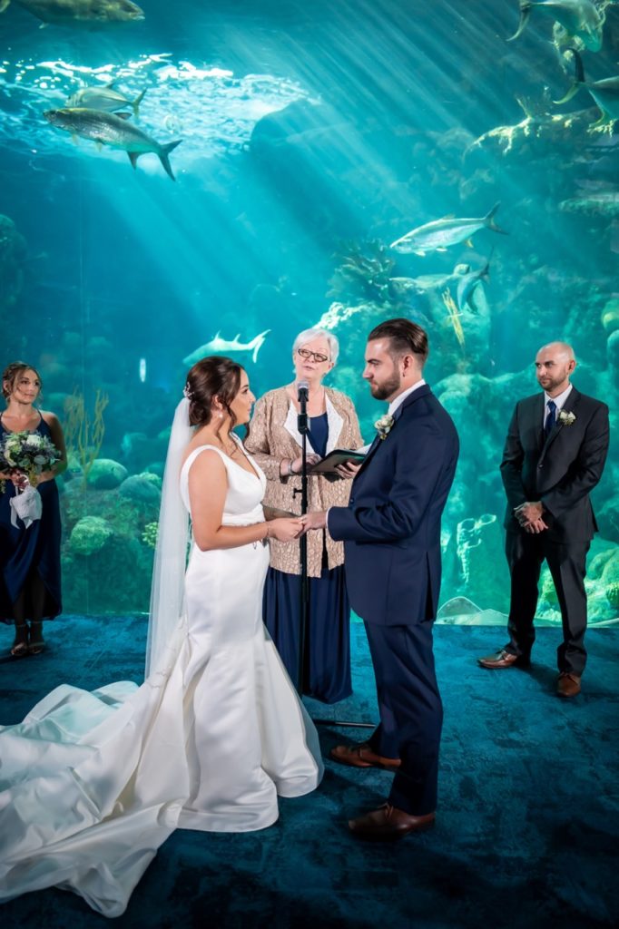 bride and groom in front of pan window