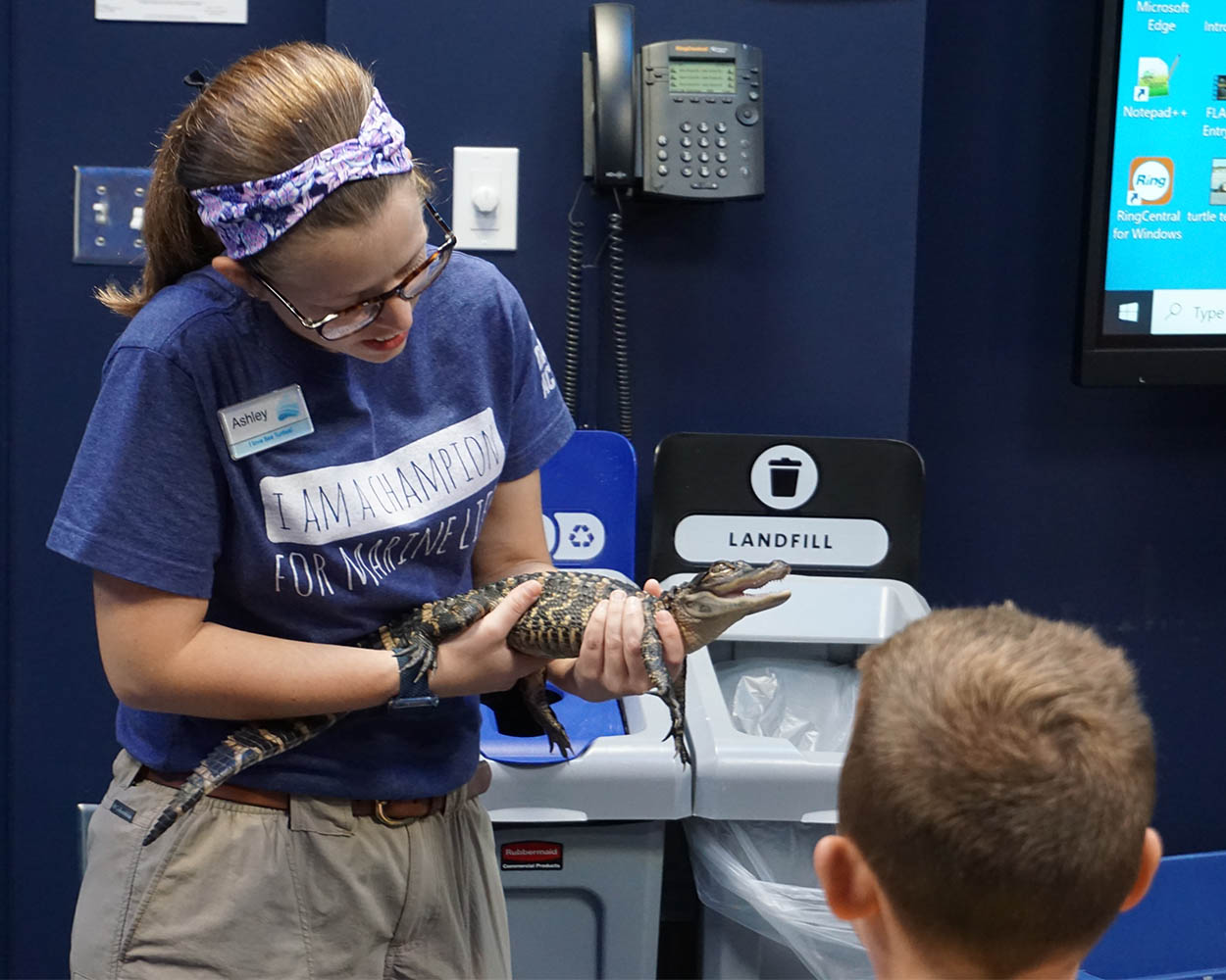 camp staff holding juvenile alligator