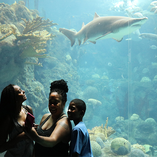 family taking photo in front of main tank