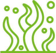 green seaweed icon