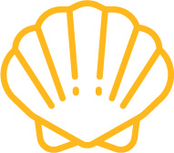 orange sea shell icon