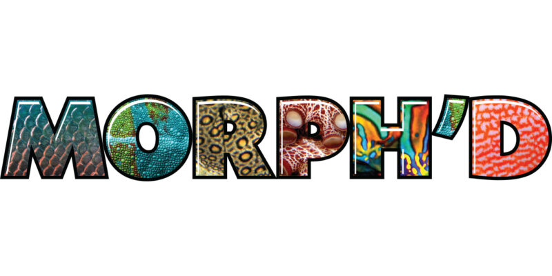 MORPHD logo