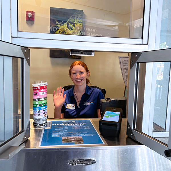 staff member at window smiling and waving