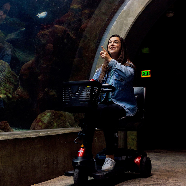 person in wheelchair pointing up at the top of tunnel of fishes