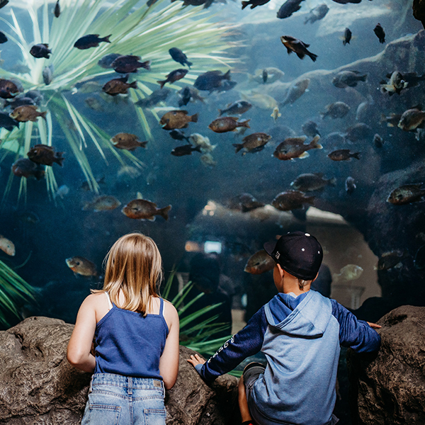 two kids looking at fish