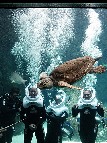 SeaTREK - The Florida Aquarium