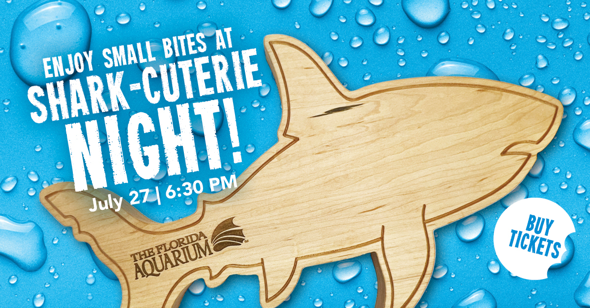 shark cuterie night at the florida aquarium july 27 2023