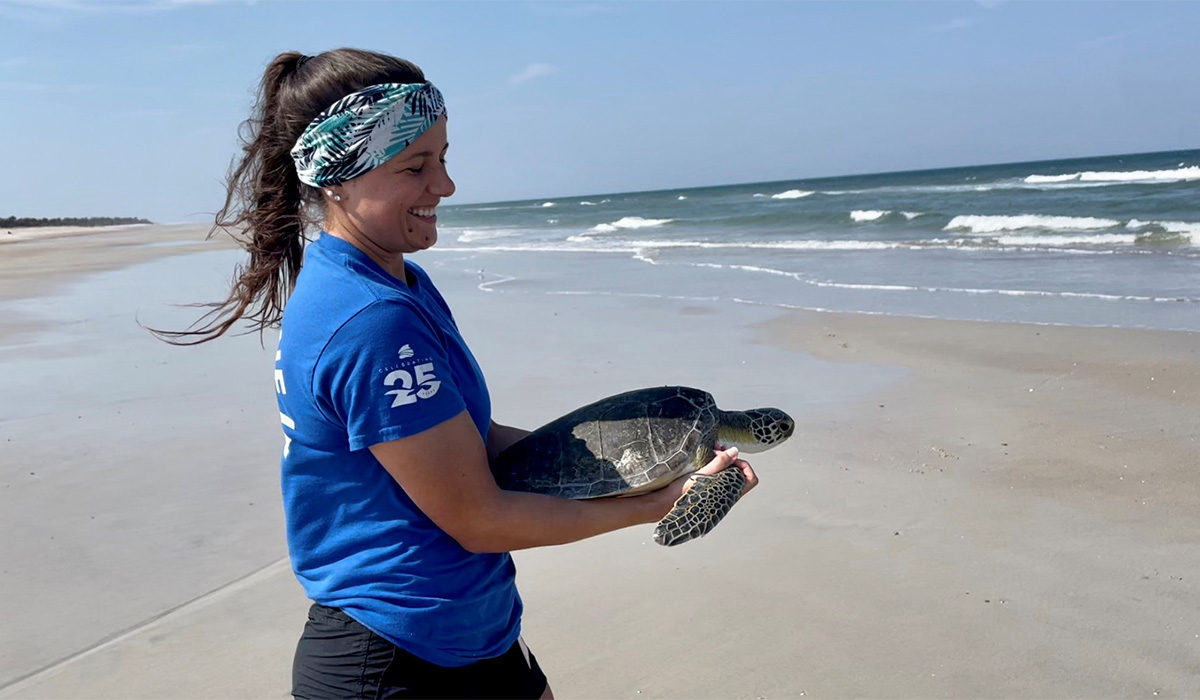 https://www.flaquarium.org/wp-content/uploads/2023/07/sea_turtle_release_1200x700.jpg