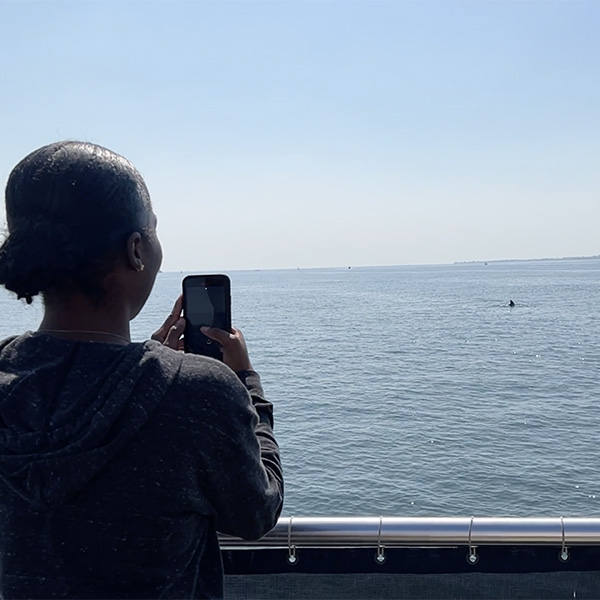 woman on a boat taking a photo of a dolphin in the water