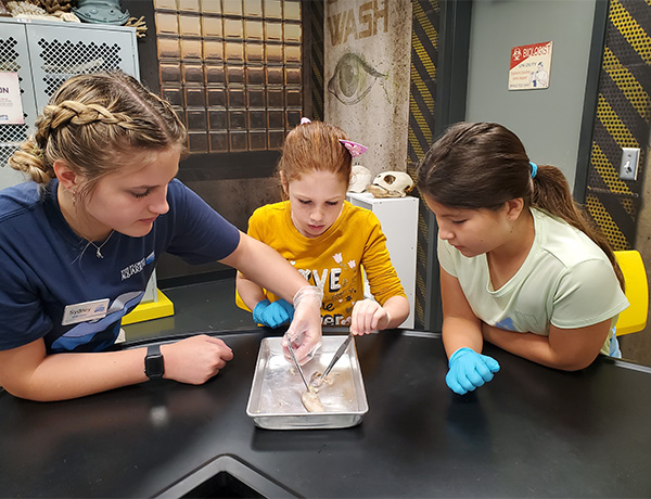 counselor_with_two_girls_dissecting_squid