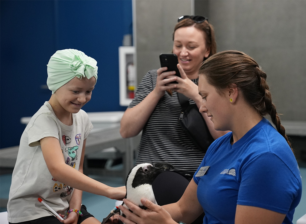 young girl touching a penguin being held by an female aquarium staff member while mom takes photo