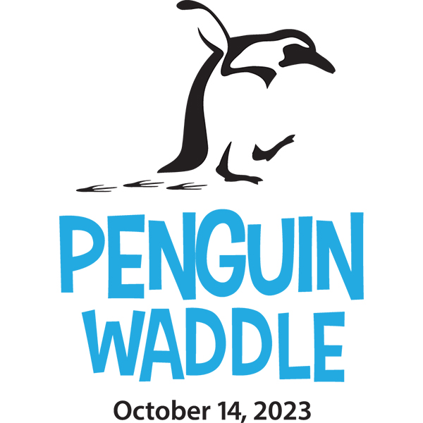 illustrated penguin with one flipper up and footprints behind it. Underneath the illustration it says penguin waddle in blue and October 14 2023 in balck