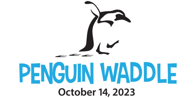 illustrated penguin with one flipper up and footprints behind it. Underneath the illustration it says penguin waddle in blue and October 14 2023 in balck