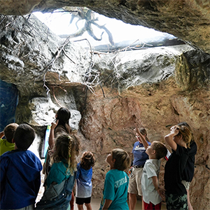 group_of_kids_with_staff_looking_up_at_animals